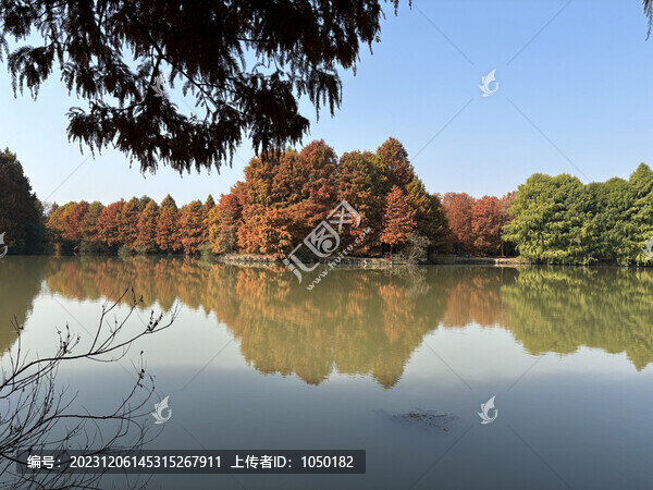 上海海灣國家森林公園
