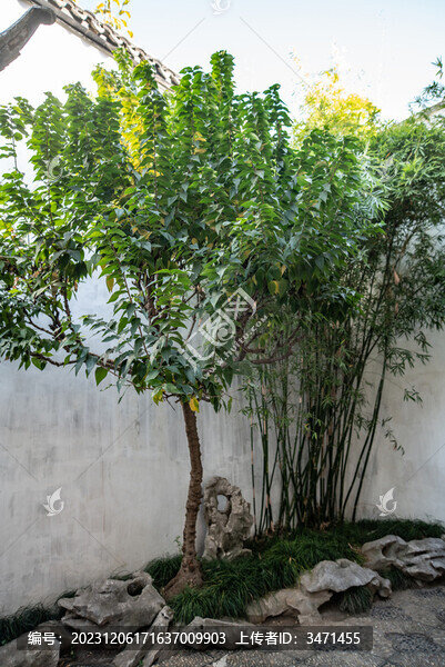 園林建筑
