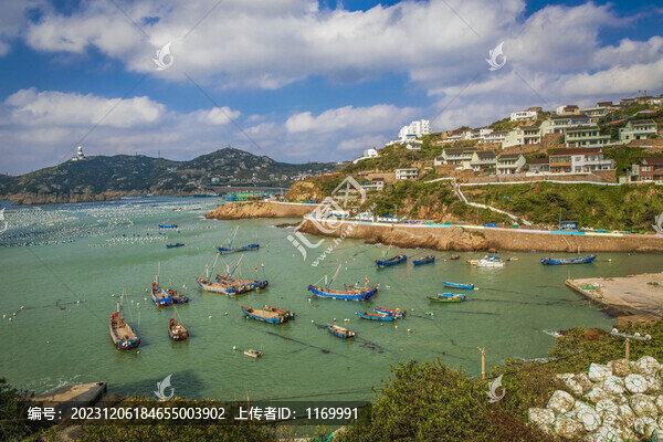 海上牧場