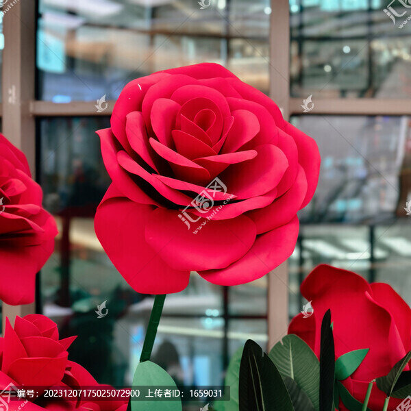 玫瑰花