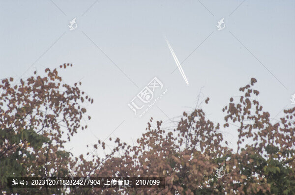 飛機尾線