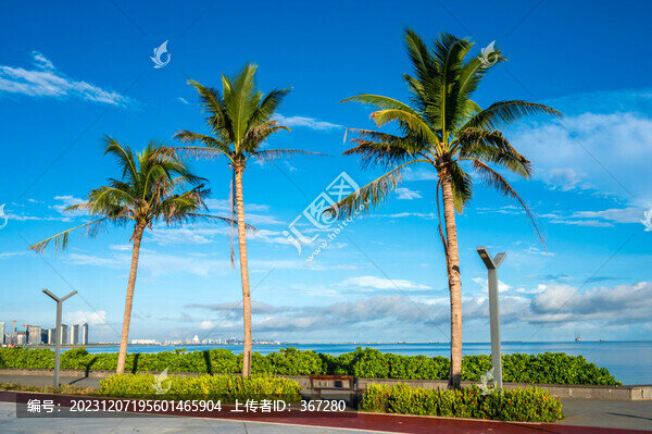 熱帶濱海城市風(fēng)光