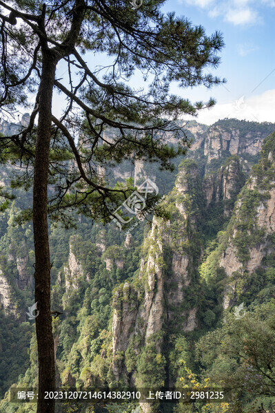 張家界奇峰異石