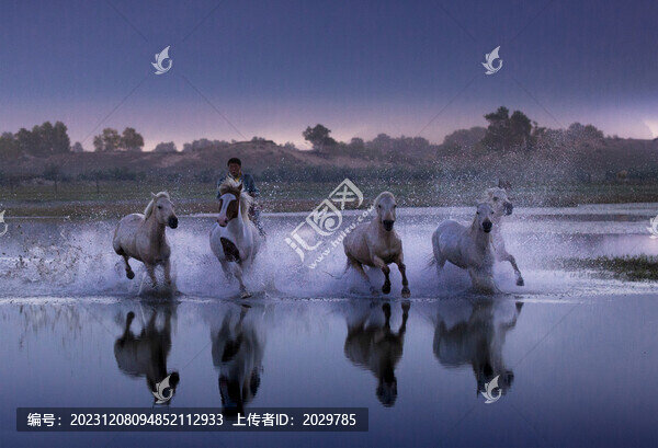 馬踏水花