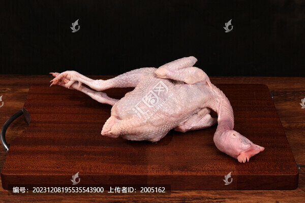 去毛蘆花土雞