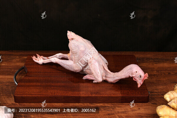 去毛蘆花土雞
