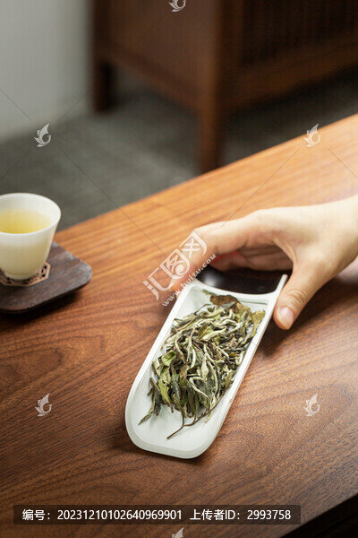 白牡丹茶葉