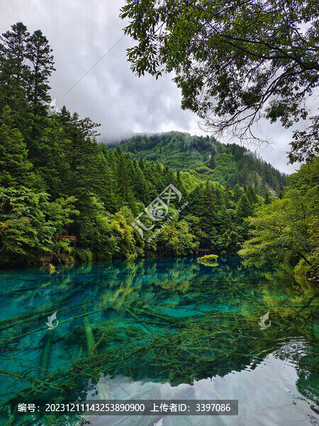 翠綠山水