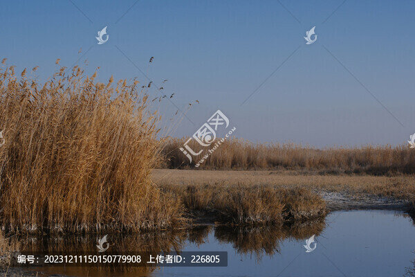 濕地