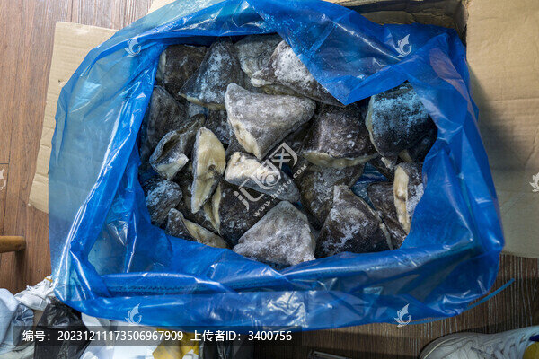 比目魚頭