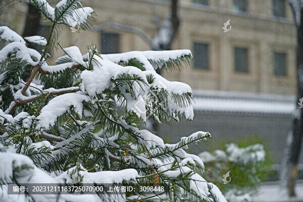 北京第一場(chǎng)雪