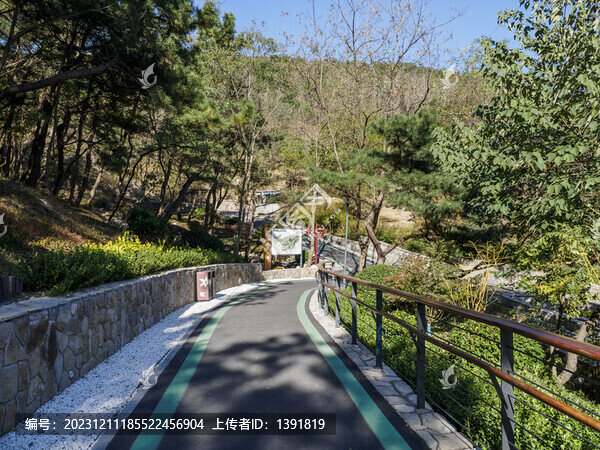 青島浮山森林公園