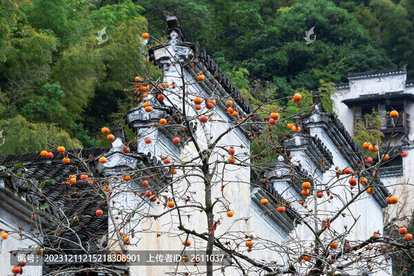 篁嶺秋色