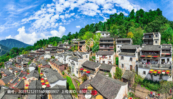 篁嶺曬秋全景