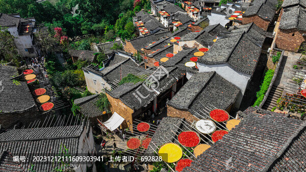 篁嶺曬秋
