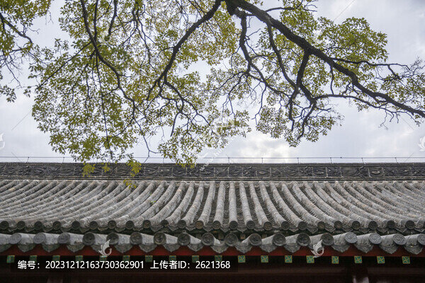 建筑屋頂