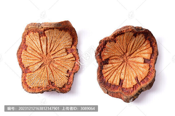 紅藤白底