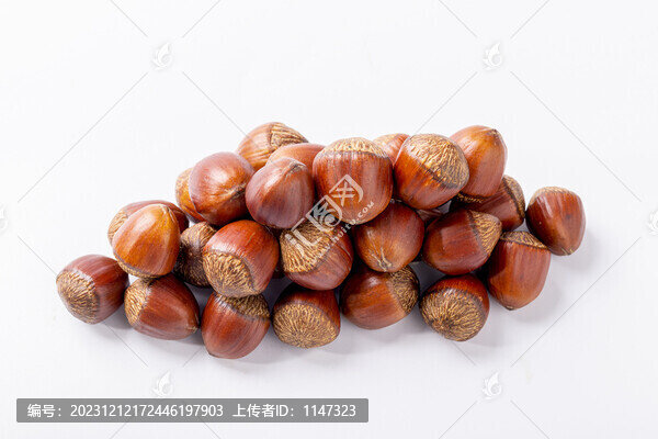 榛子白底