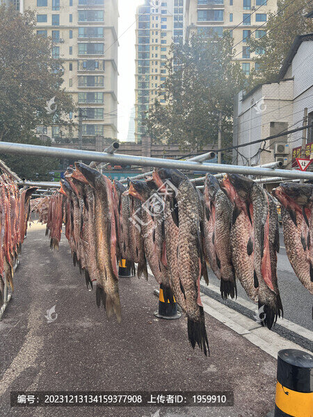 武漢臘魚