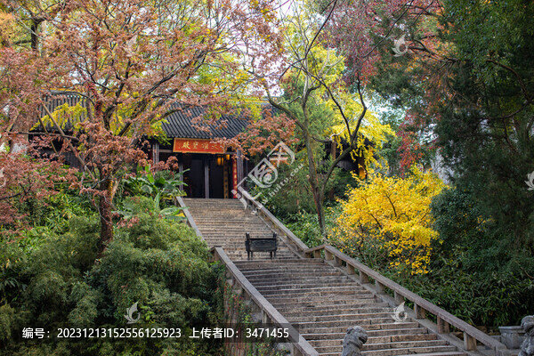 蘇州虎丘