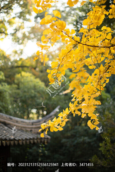 園林虎丘