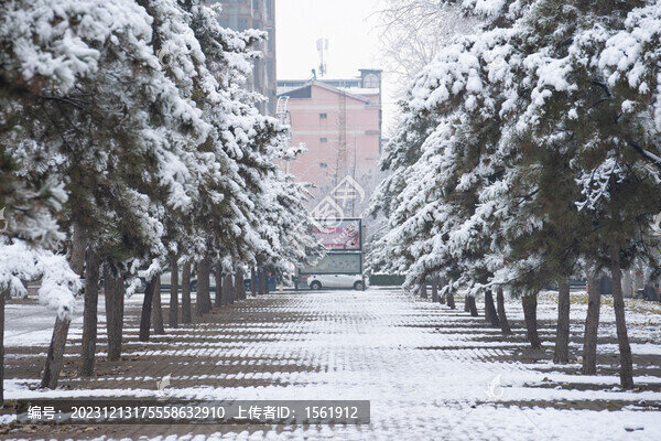 冬季雪景