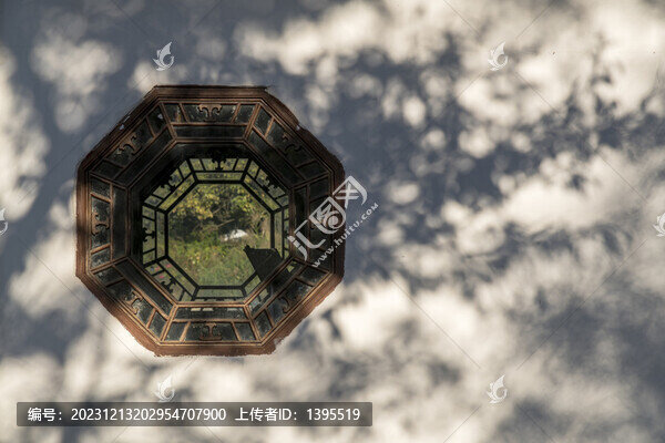 園林窗戶樹影