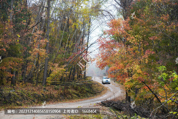 遠(yuǎn)山