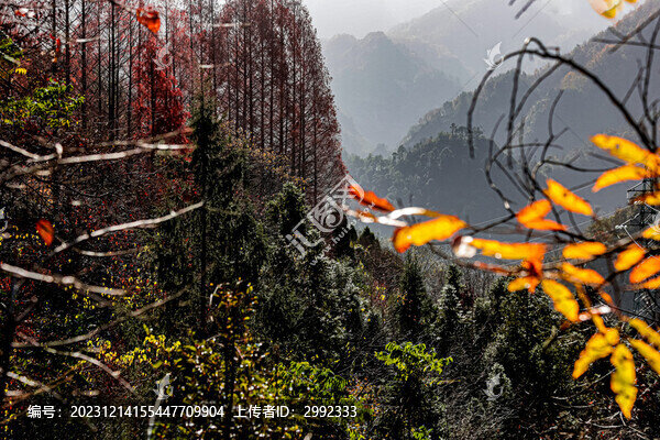 武當(dāng)山秋色