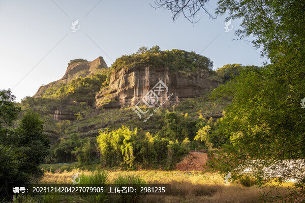 夕陽(yáng)下的樹(shù)林草地