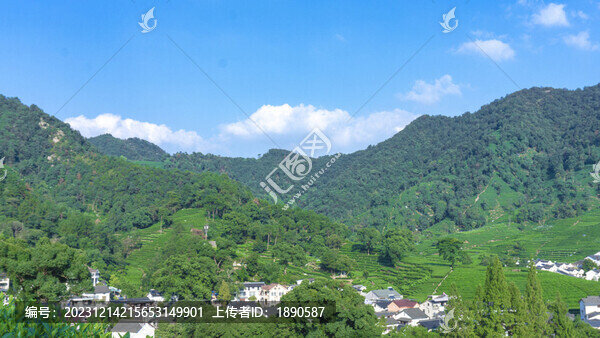 茶山田園自然風(fēng)景