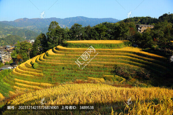 10月的龍勝梯田