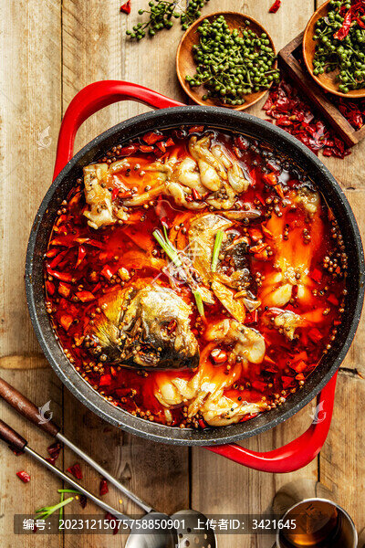 美蛙魚頭