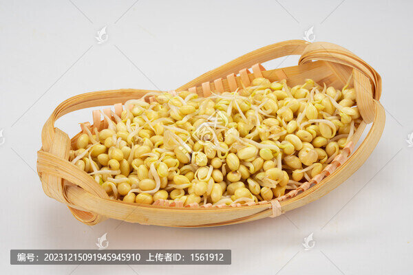 黃豆芽