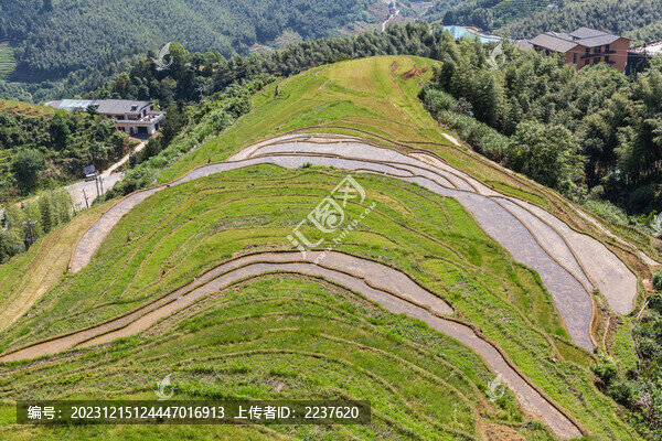 梯田