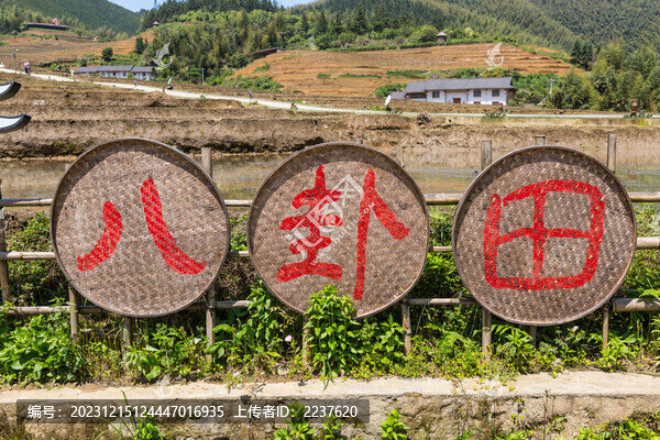 簸箕
