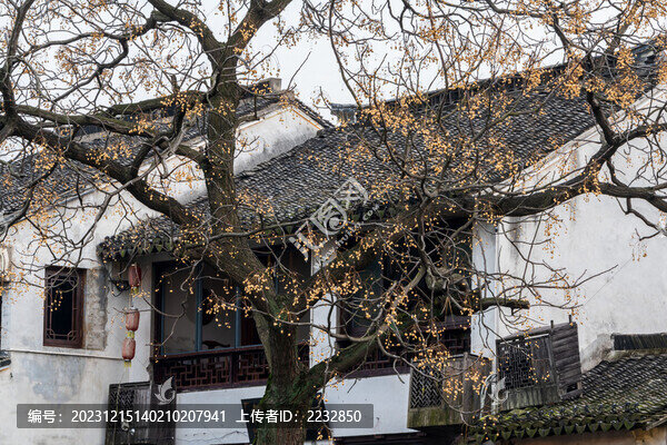 西塘古鎮(zhèn)