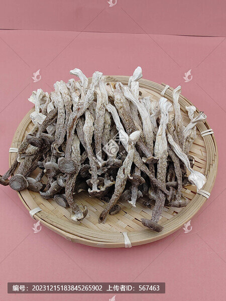 鹿茸菇新鮮干貨菇類(lèi)