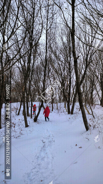 雪地穿越