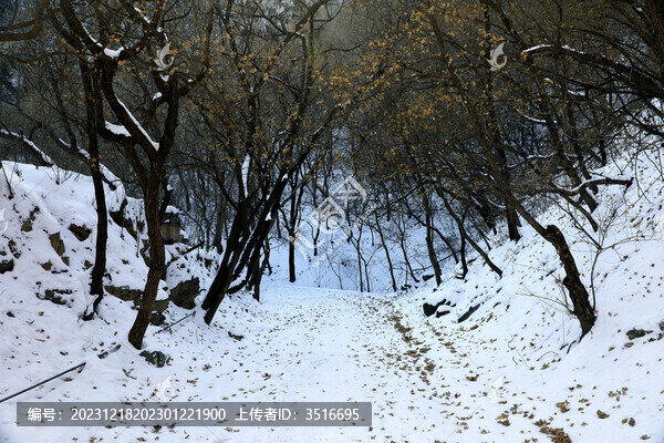 山林雪韻