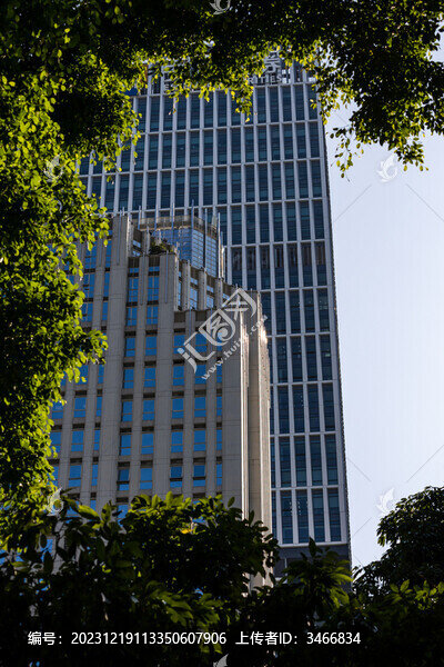 深圳城市建筑與樹木相映