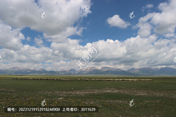 高山牧場