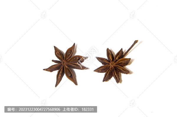 八角香料白底圖