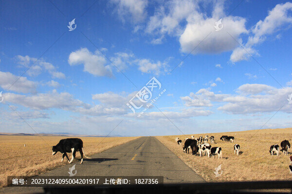 藍(lán)天白云公路