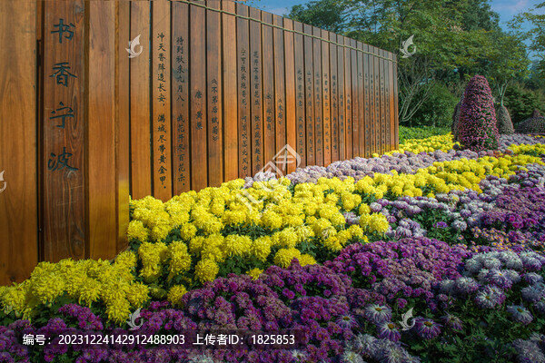 寧波院士公園菊花展