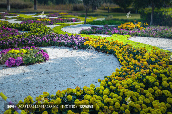 寧波院士公園菊花展