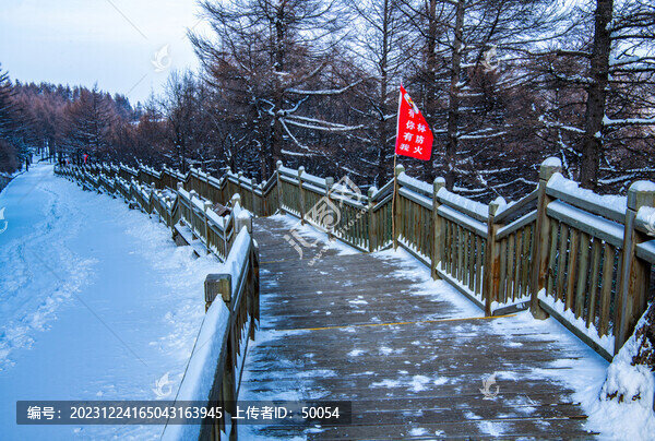 白石山景區(qū)木棧道雪景