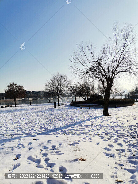 海河雪景