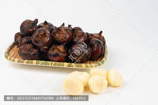 荸薺