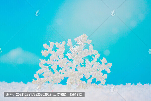 雪花雪景